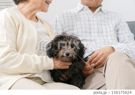 リビングで犬と過ごすシニア夫婦 リビングで犬と過ごすシニア夫婦 138175024