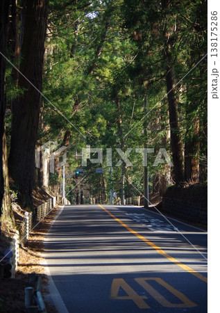 日光杉並木 138175286