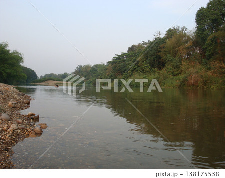 Serene river calm water forest river riverbank reflection pebble shore tropical forest rural landscape peaceful nature tranquil scene serene river with calm water reflects lush tropical forest 138175538