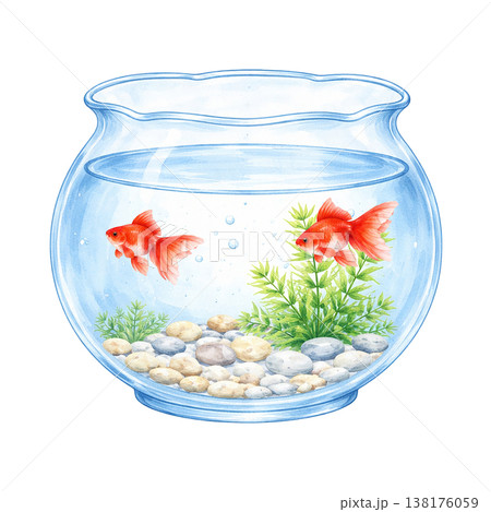 金魚と水草の金魚鉢のシンプル素材 夏の涼しげアクアリウムイメージ 和風デザイン 白背景 138176059