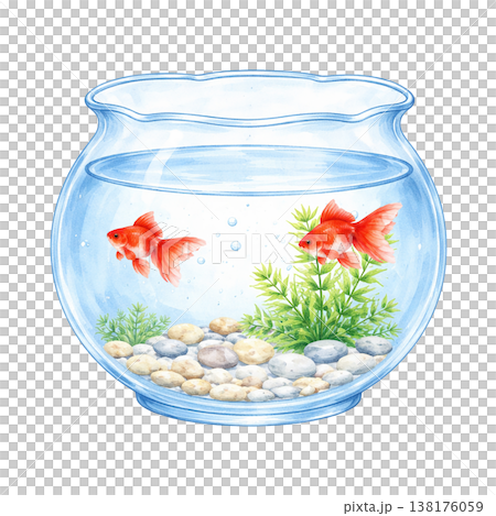 金魚と水草の金魚鉢のシンプル素材 夏の涼しげアクアリウムイメージ 和風デザイン 白背景 138176059