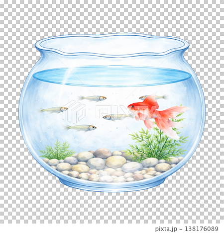 金魚と小魚と水草の金魚鉢のシンプル素材 夏の涼しげアクアリウムイメージ 白背景 138176089