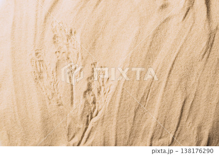 Natural sandy background dry plant branch product presentation. Abstract sand texture. Top view Natural sandy background dry plant branch product presentation. Abstract sand texture. Top view 138176290