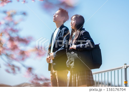 桜の下で未来を見つめる大人と学生 桜の下で未来を見つめる大人と学生 138176704