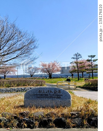 河津桜が咲く都立汐入公園 河津桜が咲く都立汐入公園 138176810