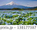 ネモフィラに浮かぶ富士山 138177387