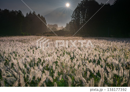 チカラシバダイヤモンド富士 138177392