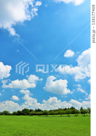 爽やかな青空と公園風景 爽やかな青空と公園風景 138177409