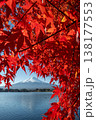 赤紅葉と富士山(縦) 138177553