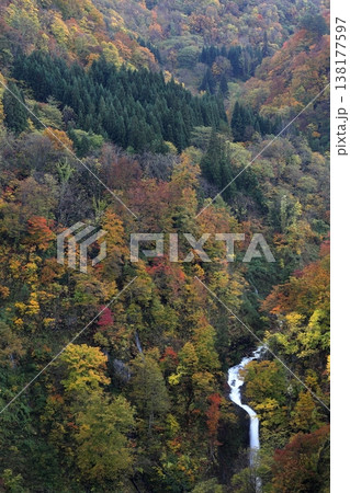 紅葉した錦秋の山肌を滑り落ちる滝（山形県 鶴岡市 落ち口の滝） 138177597