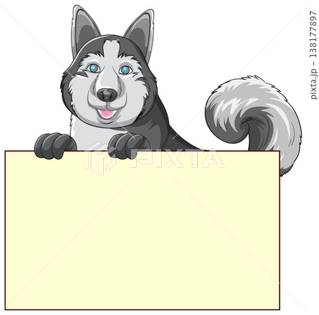 Friendly Siberian Husky Character Peeking Over a Blank Yellow Banner Friendly Siberian Husky Character Peeking Over a Blank Yellow Banner 138177897