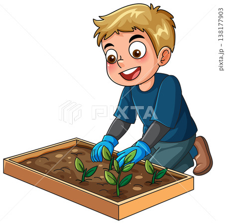 Young Boy Planting Seedlings in a Wooden Garden Box Illustration 138177903