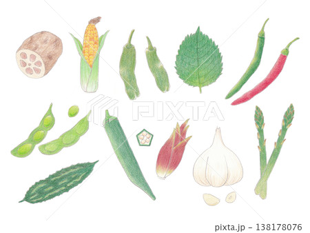 いろいろな野菜セット 138178076