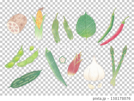 いろいろな野菜セット 138178076