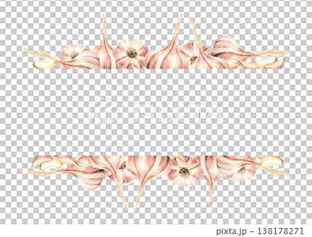 Watercolor Garlic horizontal banner. Plants stem, bulb and cloves. Realistic fragrant vegetables hand drawn illustration isolated on white. Culinary herb, seasoning for food rectangular frame template 138178271