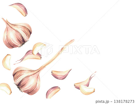 Watercolor Garlic whole bulb and cloves rectangular frame. Dynamic motion with fragrant vegetables, kitchen spices. Hand drawn illustration on isolated white background. Culinary herb, seasoning label Watercolor Garlic whole bulb and cloves rectangular frame. Dynamic motion with fragrant vegetables, kitchen spices. Hand drawn illustration on isolated white background. Culinary herb, seasoning label 138178273