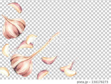 Watercolor Garlic whole bulb and cloves rectangular frame. Dynamic motion with fragrant vegetables, kitchen spices. Hand drawn illustration on isolated white background. Culinary herb, seasoning label 138178273