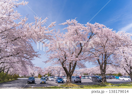 「青森県」八戸公園・子供の国 春の風景　八戸市 138179014
