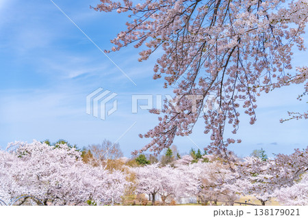 「青森県」八戸公園・子供の国 春の風景 八戸市 「青森県」八戸公園・子供の国 春の風景 八戸市 138179021