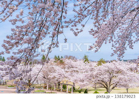 「青森県」八戸公園・子供の国 春の風景　八戸市 138179023