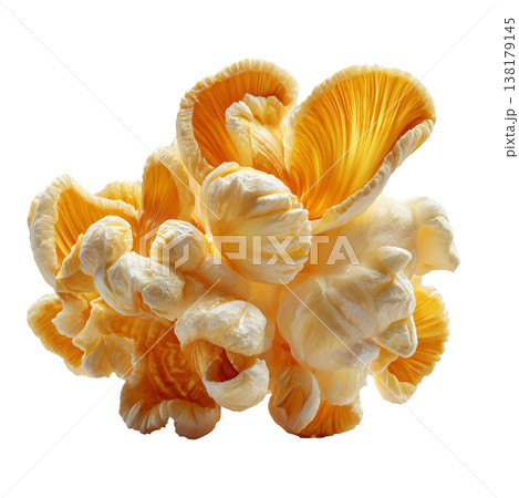 Closeup popcorn kernel piece in macro shot isolated on white background, representing snack food concept and simplicity idea 138179145