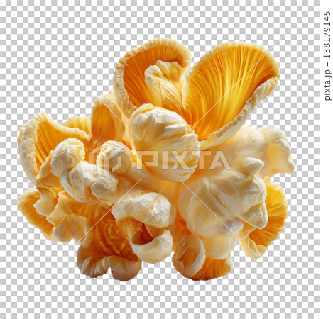 Closeup popcorn kernel piece in macro shot isolated on white background, representing snack food concept and simplicity idea 138179145