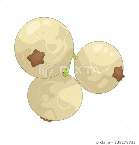 Illustration of White currants 138179733