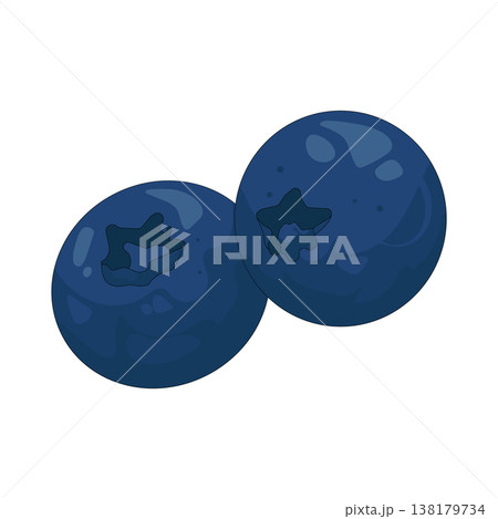 Illustration of blueberry Illustration of blueberry 138179734