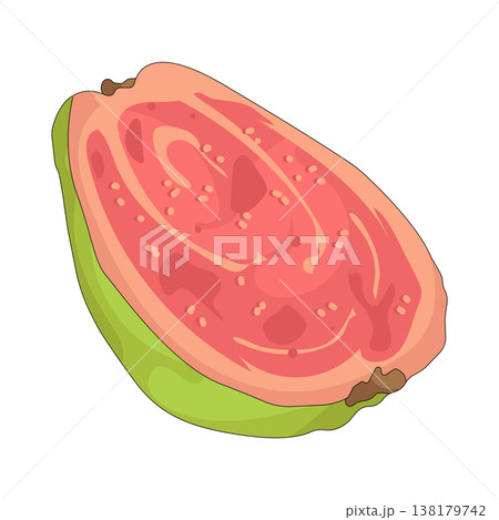 Illustration of red guava Illustration of red guava 138179742