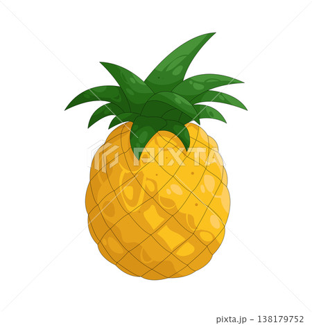 Illustration of pineapple  138179752