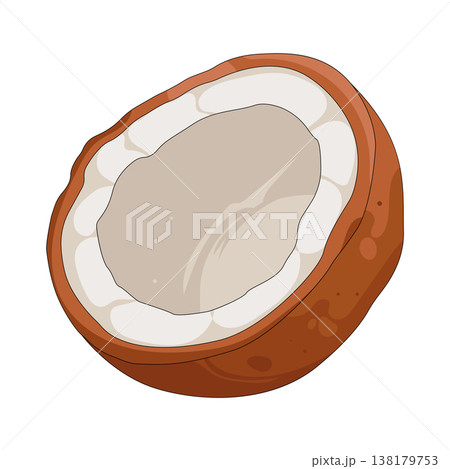 Illustration of coconut  138179753