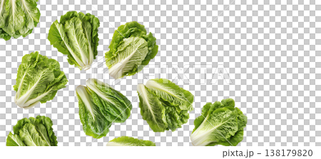 Multiple fresh romaine lettuce heads arranged in a scattered pattern isolated on white background, healthy organic food concept 138179820