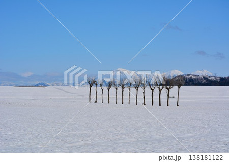 早春残雪の新潟県小千谷市池ヶ原田園のハサ木・越後三山雪景色 早春残雪の新潟県小千谷市池ヶ原田園のハサ木・越後三山雪景色 138181122
