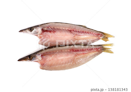 カマスの干物 カマスの干物 138181343