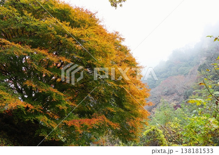 岡山県加賀郡吉備中央町　宇甘渓 138181533
