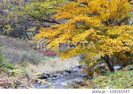 岡山県加賀郡吉備中央町　宇甘渓 138181547