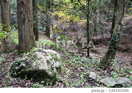 岡山県加賀郡吉備中央町　宇甘渓 138181560