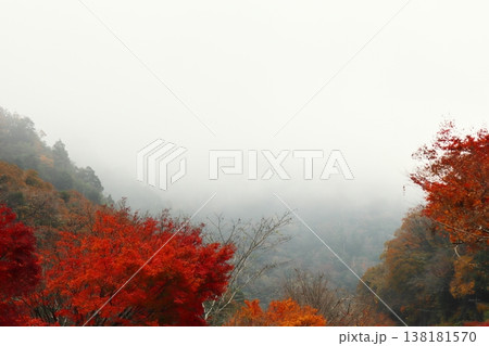 岡山県加賀郡吉備中央町 宇甘渓 岡山県加賀郡吉備中央町 宇甘渓 138181570