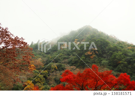 岡山県加賀郡吉備中央町 宇甘渓 岡山県加賀郡吉備中央町 宇甘渓 138181571