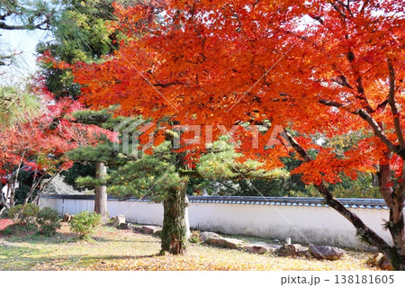 岡山県総社市 備中国分寺 岡山県総社市 備中国分寺 138181605