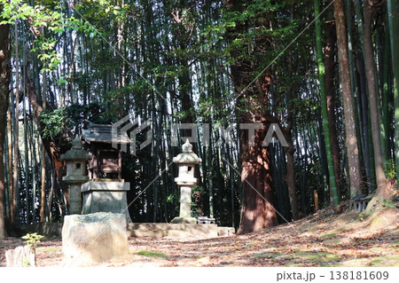 岡山県総社市　備中国分寺の小さな社 138181609