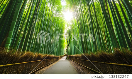 嵐山竹林に差し込む光と静寂の禅風景 138182247