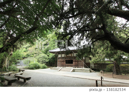 鎌倉 浄智寺の曇華殿(本堂:仏殿) 鎌倉 浄智寺の曇華殿(本堂:仏殿) 138182534