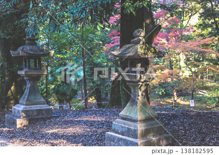 Nov 29 2025 Exploring Fushimi Inari Taisha Iconic Red Bridge Beauty 138182595