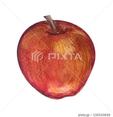 apple watercolor illustration apple watercolor illustration 138183689