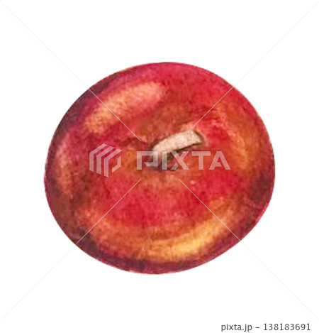 apple watercolor illustration apple watercolor illustration 138183691