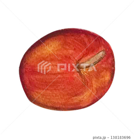 apple watercolor illustration apple watercolor illustration 138183696