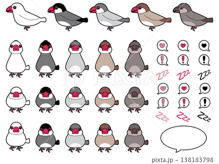 文鳥(白文鳥、桜文鳥、シルバー文鳥、シナモン文鳥、ヒナ)のセットイラスト 138183798