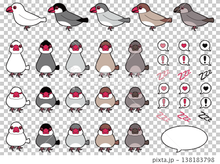 A set of illustrations featuring Java sparrows (white sparrow, cherry blossom sparrow, silver sparrow, cinnamon sparrow, and chick). 138183798