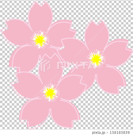 Multiple cherry blossoms, easy to use for spring decorations. 138183839